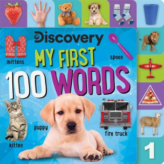 Könyv Discovery: My First 100 Words 