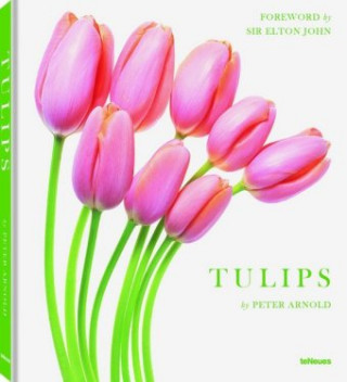 Carte Tulips Peter Arnold