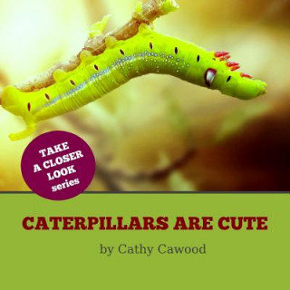 Kniha Caterpillars Are Cute Cathy Cawood