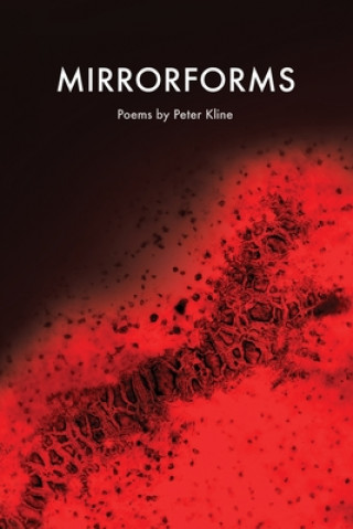 Book Mirrorforms Peter Kline