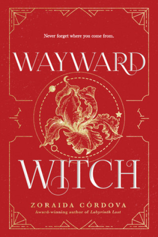 Kniha Wayward Witch 