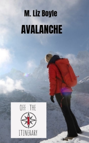 Buch Avalanche M. Liz Boyle