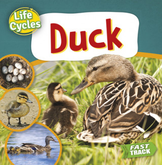 Knjiga Duck 
