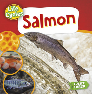 Libro Salmon Nancy Dickmann