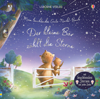 Könyv Mein leuchtendes Gute-Nacht-Buch: Der kleine Bär zählt die Sterne Sam Taplin