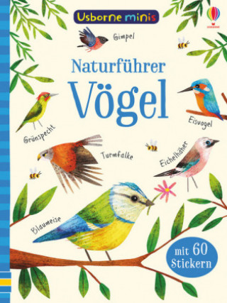 Book Naturführer: Vögel Kirsteen Robson