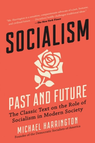 Kniha Socialism: Past and Future 