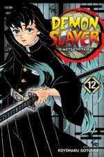 Kniha Demon Slayer: Kimetsu no Yaiba, Vol. 12 Koyoharu Gotouge