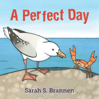 Knjiga A Perfect Day Sarah S. Brannen