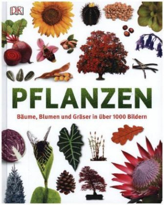 Kniha Pflanzen Dr. Sarah Jose