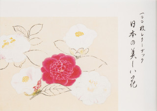 Kniha 100 Papers with Japanese Seasonal Flowers 