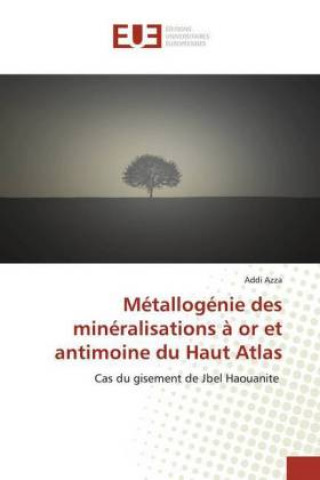 Könyv Métallogénie des minéralisations ? or et antimoine du Haut Atlas 