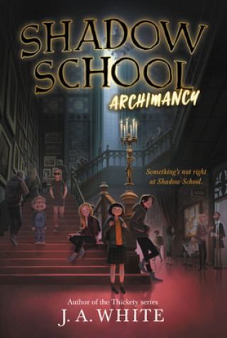 Kniha Shadow School #1: Archimancy 