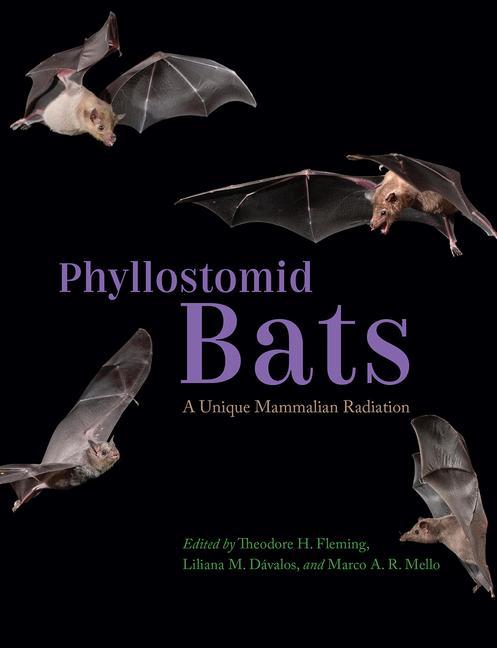 Carte Phyllostomid Bats 