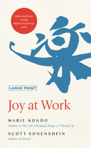 Kniha Joy at Work: Organizing Your Professional Life Scott Sonenshein
