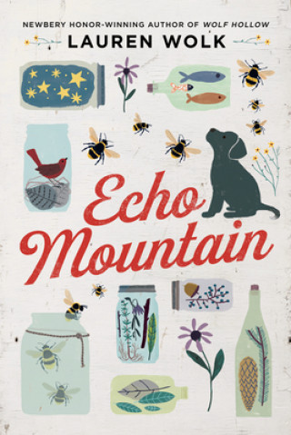 Kniha Echo Mountain Lauren Wolk