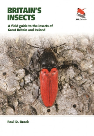 Книга Britain's Insects 