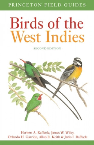 Book Birds of the West Indies Second Edition Herbert A Raffaele