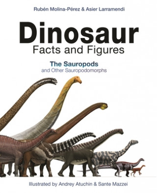 Kniha Dinosaur Facts and Figures 