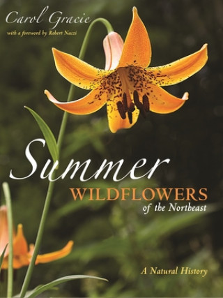 Könyv Summer Wildflowers of the Northeast 