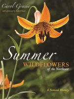 Könyv Summer Wildflowers of the Northeast 