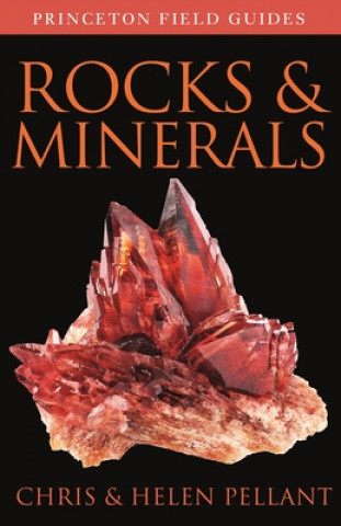Kniha Rocks and Minerals 