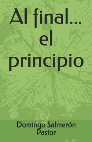 Buch Al final...el principio Domingo Salmeron Pastor
