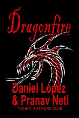 Kniha Dragonfire: a collection of short stories Neti