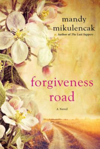 Boek Forgiveness Road Mandy Mikulencak