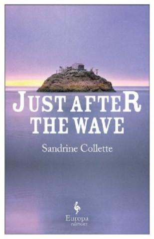 Livro Just After the Wave Sandrine Collette