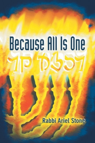 Knjiga Because All Is One Stone Rabbi Ariel Stone