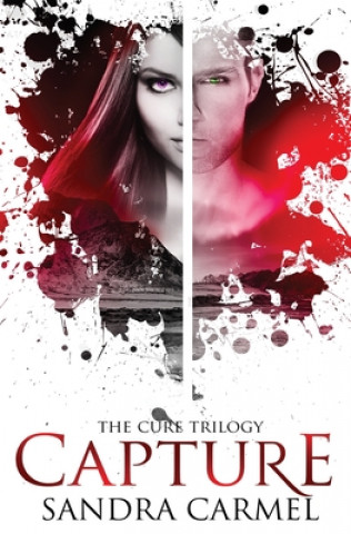 Buch Capture Sandra Carmel