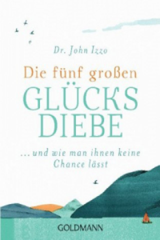 Buch Die fünf großen Glücksdiebe Gaby van Dam