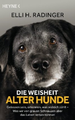 Könyv Die Weisheit alter Hunde 