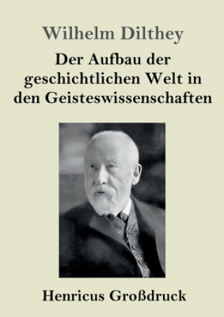 Book Aufbau der geschichtlichen Welt in den Geisteswissenschaften (Grossdruck) 