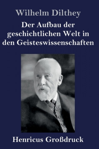 Book Aufbau der geschichtlichen Welt in den Geisteswissenschaften (Grossdruck) 