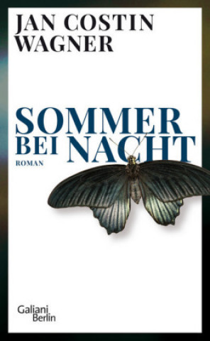 Kniha Sommer bei Nacht 