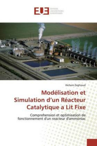 Kniha Modélisation et Simulation d?un Réacteur Catalytique a Lit Fixe 