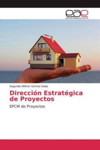 Könyv Dirección Estratégica de Proyectos 