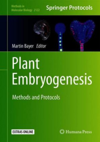 Kniha Plant Embryogenesis Martin Bayer