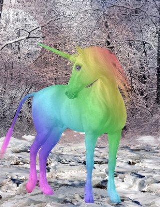 Knjiga Unicorn Notebook Rwg