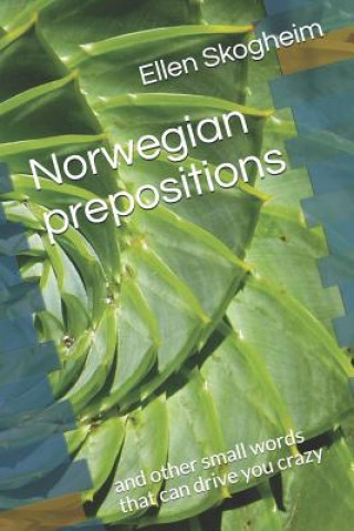 Kniha Norwegian prepositions: and other small words that can drive you crazy Ellen Skogheim