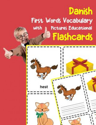 Kniha Danish First Words Vocabulary with Pictures Educational Flashcards: Fun flash cards for infants babies baby child preschool kindergarten toddlers and Brighter Zone