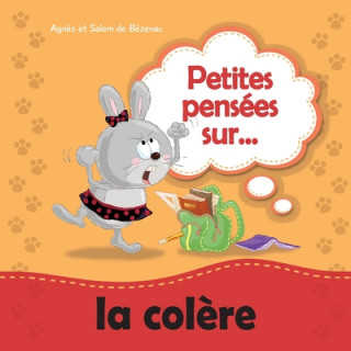 Livre Petites pensees sur la colere Salem De Bezenac