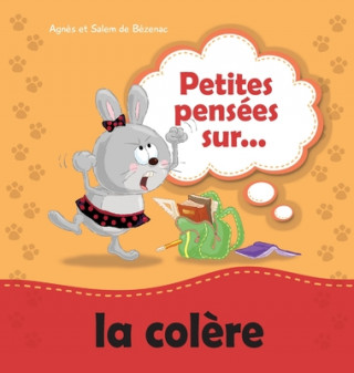 Livre Petites pensees sur la colere Salem De Bezenac