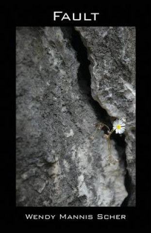 Knjiga Fault Wendy Mannis Scher