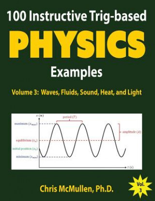 Könyv 100 Instructive Trig-based Physics Examples 