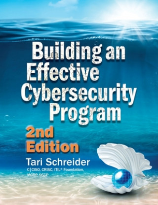 Kniha Building an Effective Cybersecurity Program 