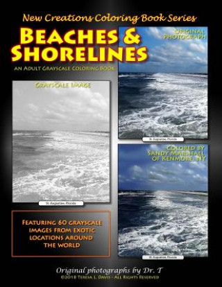 Kniha New Creations Coloring Book Series: Beaches & Shorelines Teresa Davis