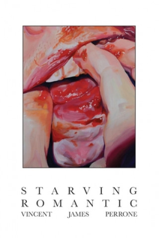 Buch Starving Romantic Vincent James Perrone